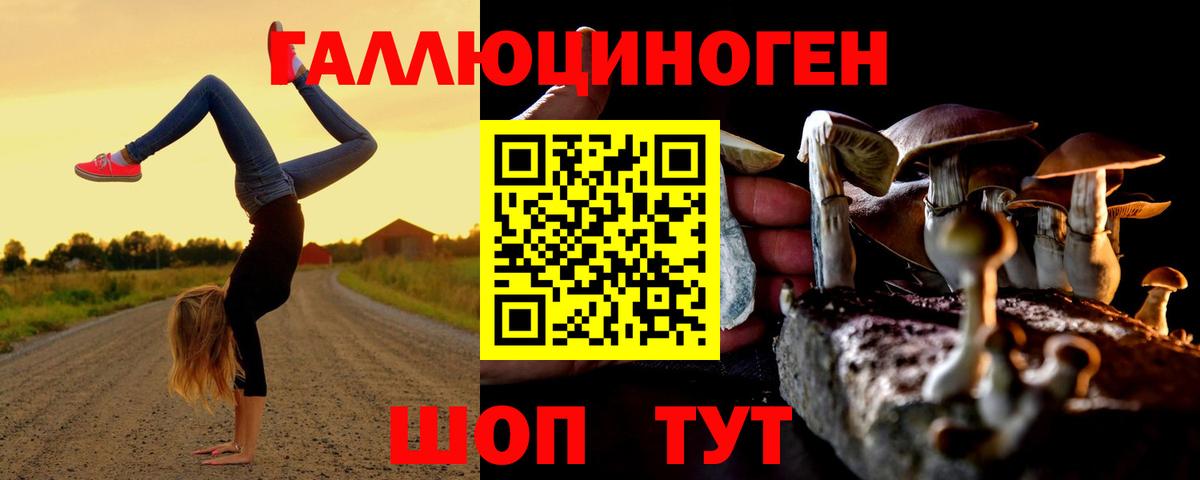 Галлюциногенные грибы мицелий Канаш